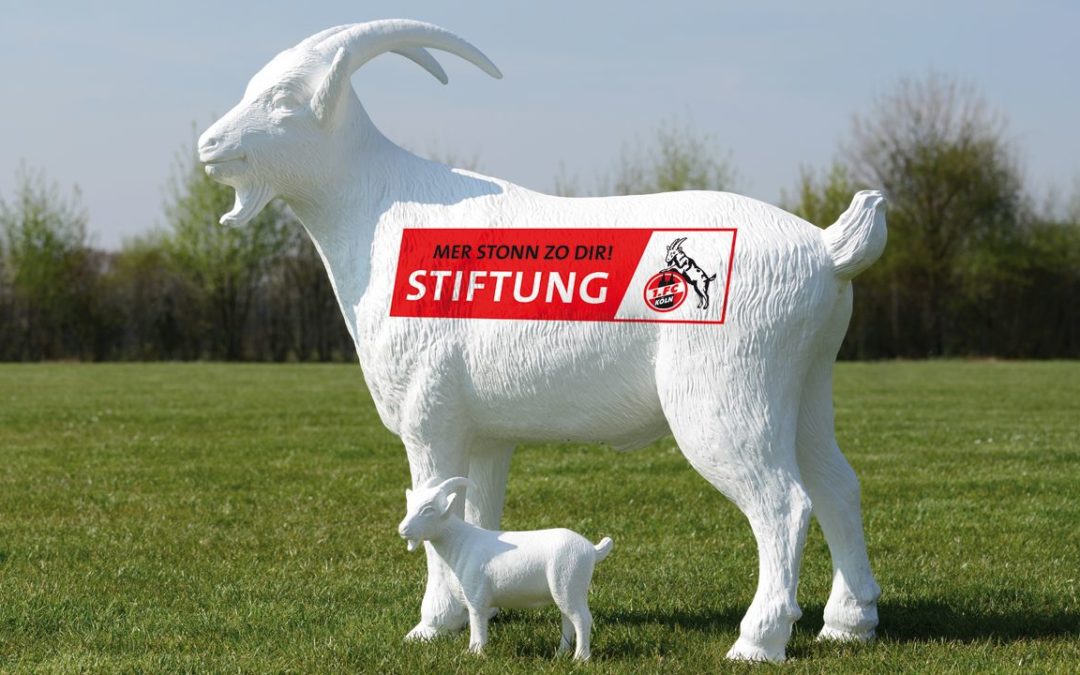 Stiftung 1. FC Köln