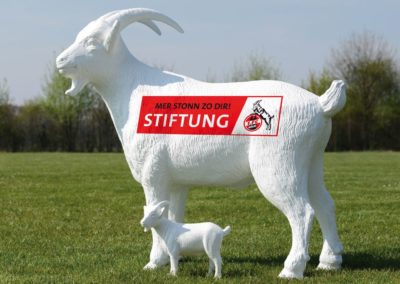 Stiftung 1. FC Köln